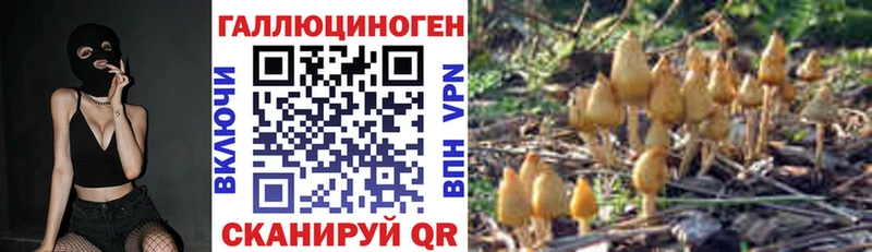 Купить закладки  Тетюши  Псилоцибиновые грибы GOLDEN TEACHER 